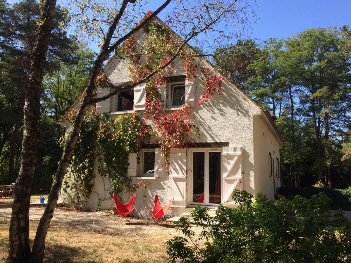 Chambres Au Coeur Du Massif Des Trois Pignons Noisy-sur-Ecole Exterior foto